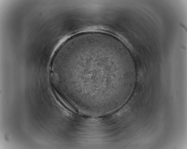 X0000097671224200802291452