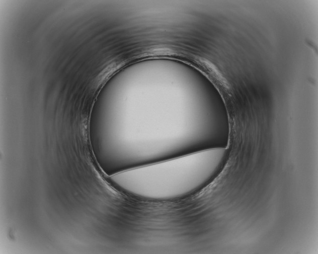 X0000097671225200802291452
