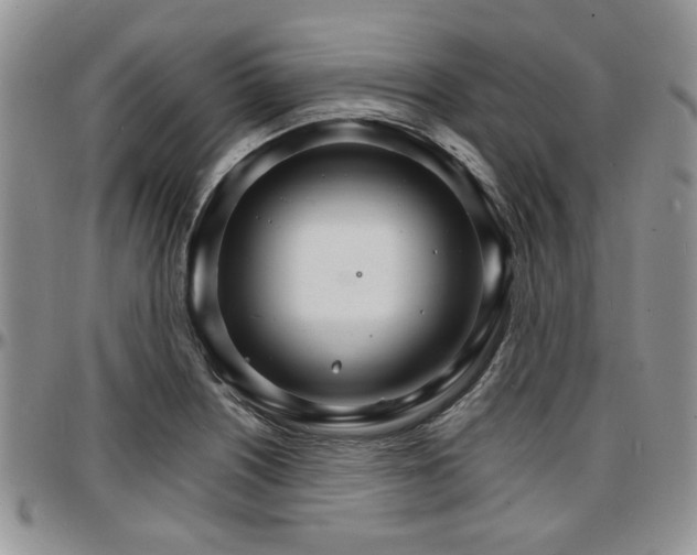 X0000097671226200802291452