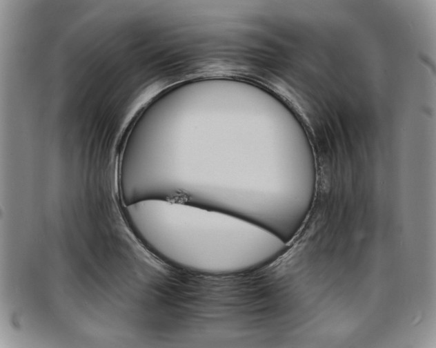 X0000097671227200802291452