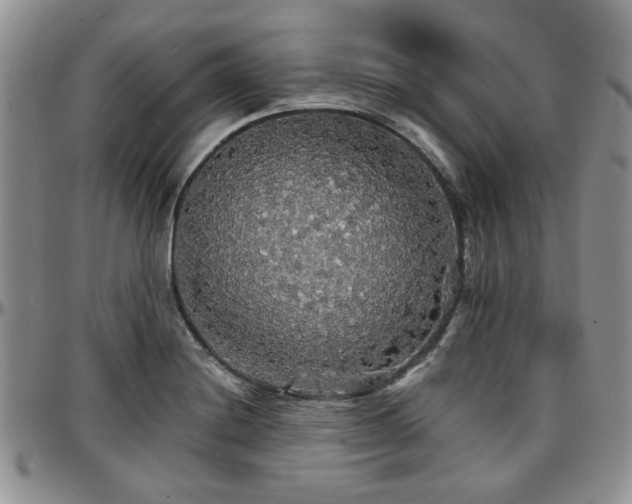 X0000097671228200802291453