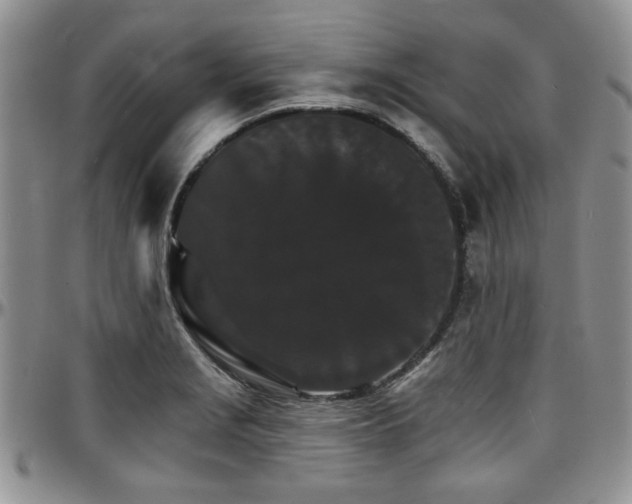 X0000097671229200802291453