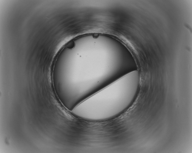 X0000097671230200802291453