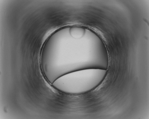 X0000097671231200802291453