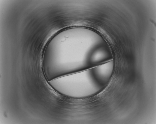 X0000097671232200802291453