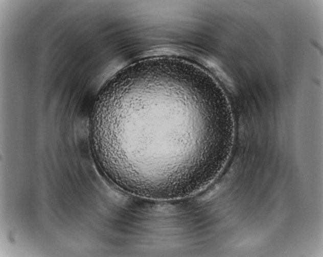 X0000097671233200802291453