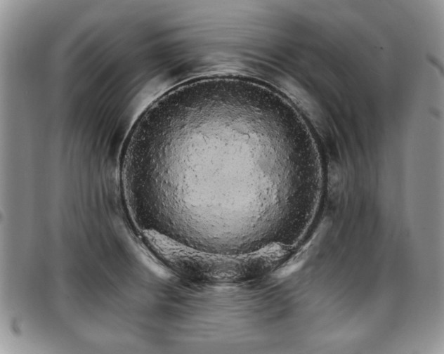 X0000097671234200802291453