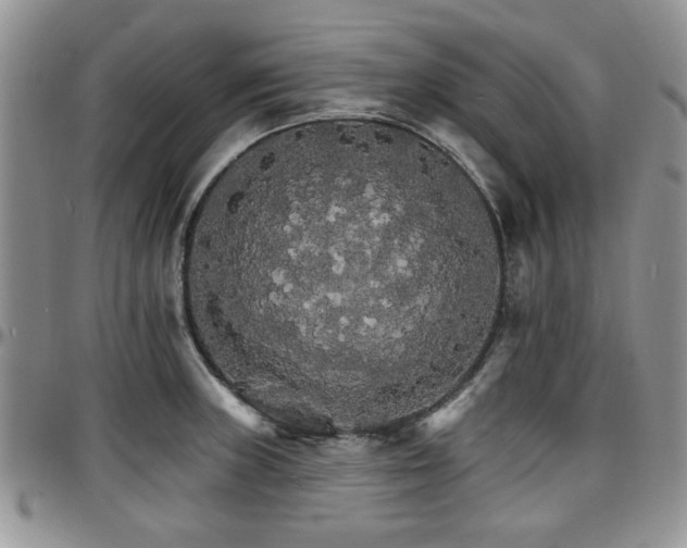 X0000097671235200802291453