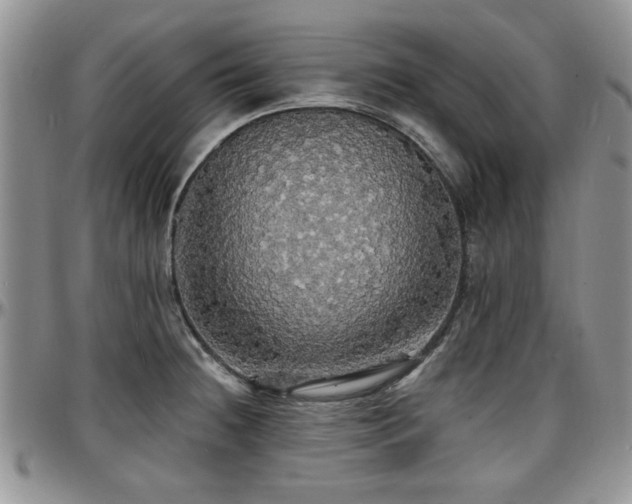 X0000097671236200802291453