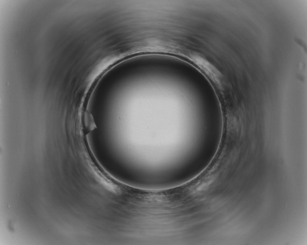 X0000097671238200802291453