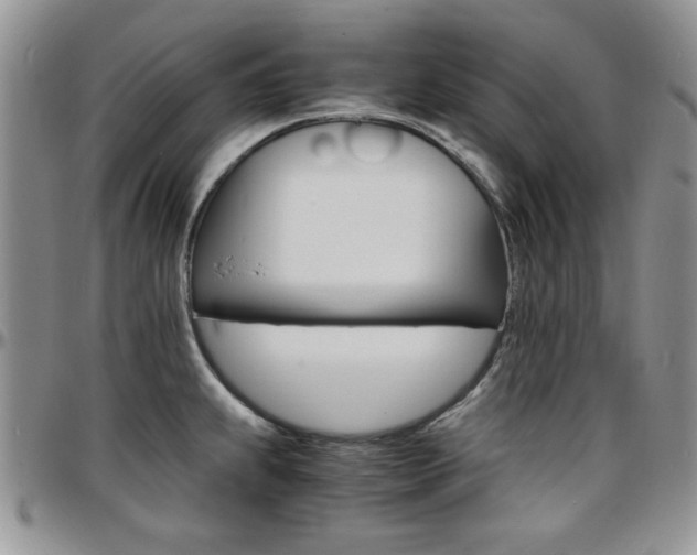X0000097671239200802291453