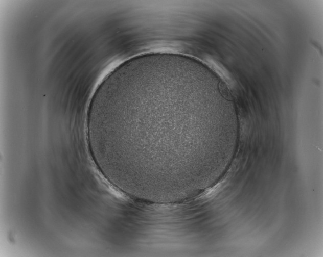 X0000097671240200802291453