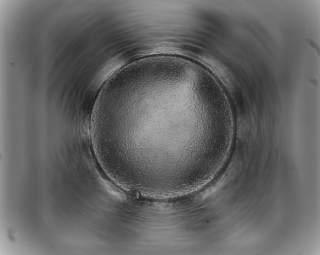 X0000097671241200802291453