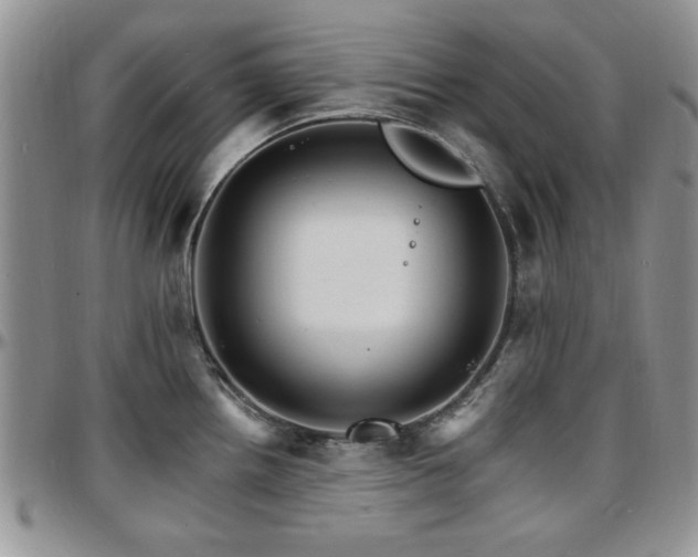 X0000097671242200802291453