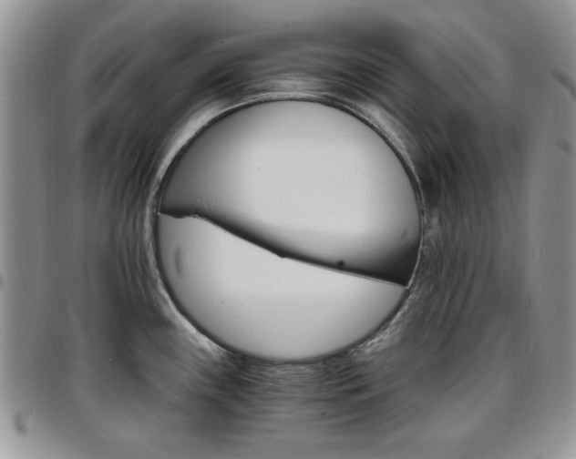 X0000097671243200802291453