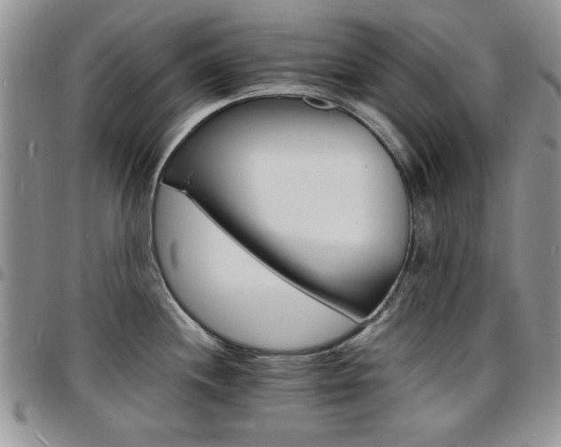 X0000097671244200802291453