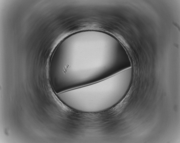 X0000097671246200802291453