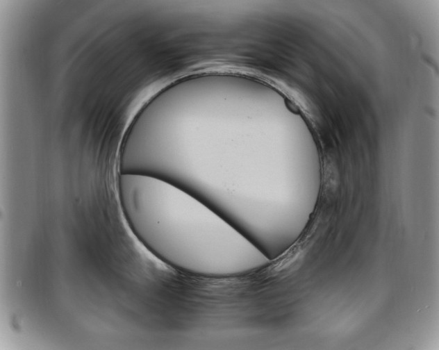X0000097671247200802291453