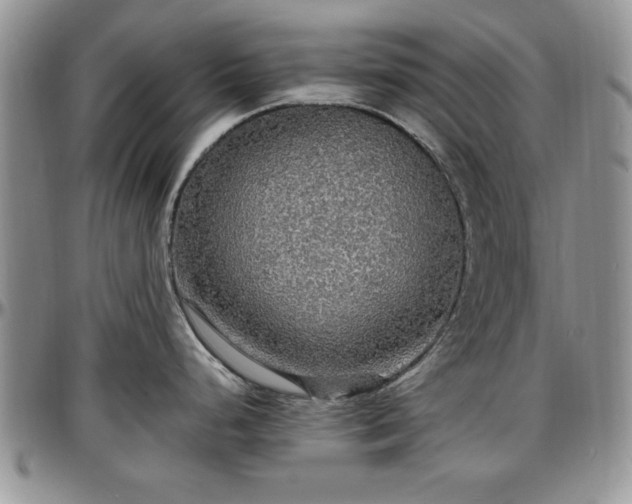 X0000097671248200802291453