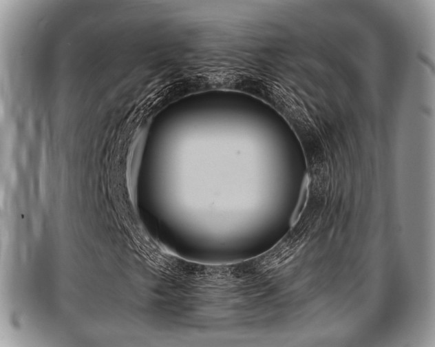 X0000097671249200802291452