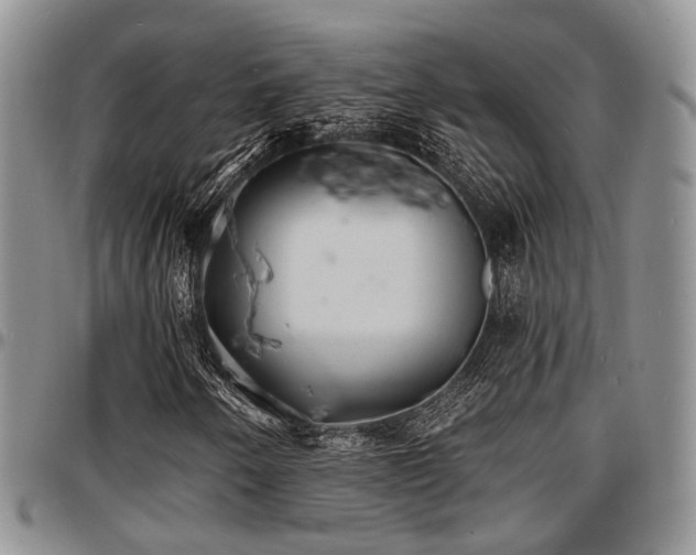 X0000097671250200802291452