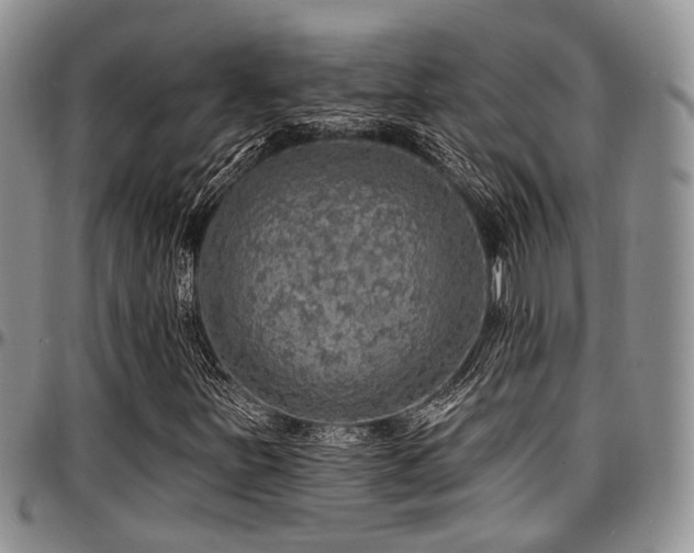 X0000097671251200802291452