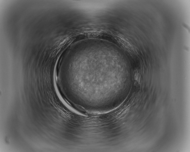 X0000097671252200802291452