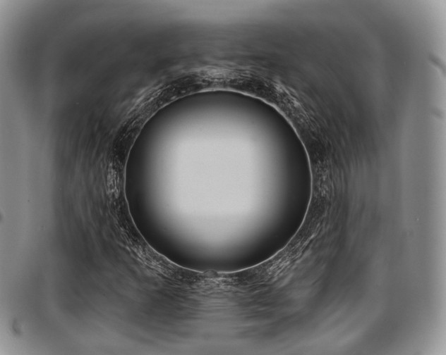 X0000097671253200802291452
