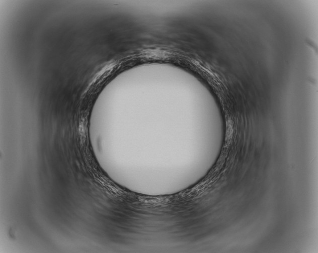 X0000097671254200802291452