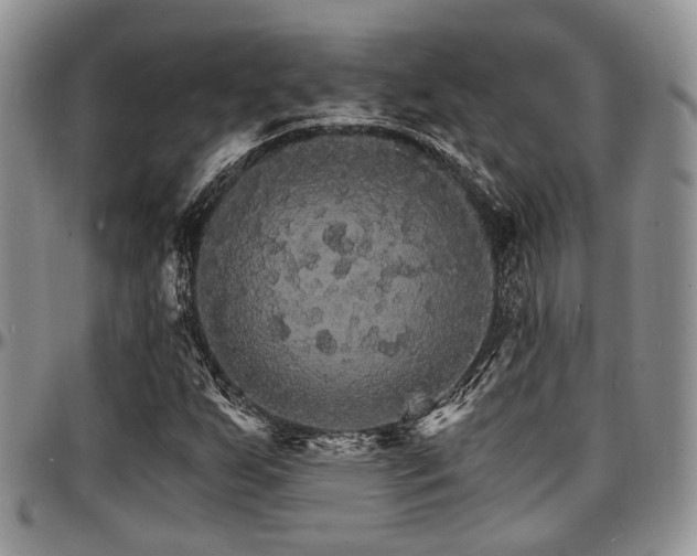 X0000097671255200802291452