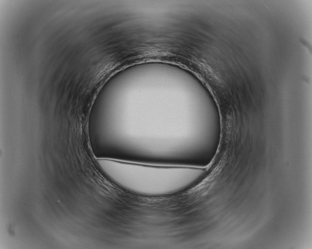 X0000097671257200802291452