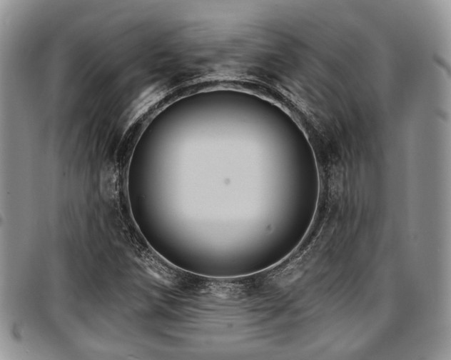 X0000097671258200802291452
