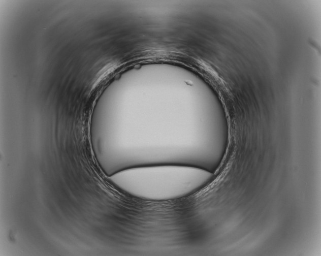 X0000097671259200802291452