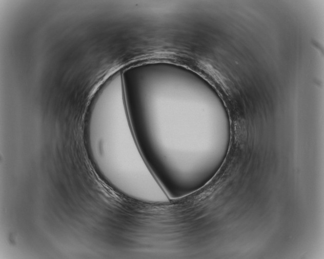 X0000097671260200802291452