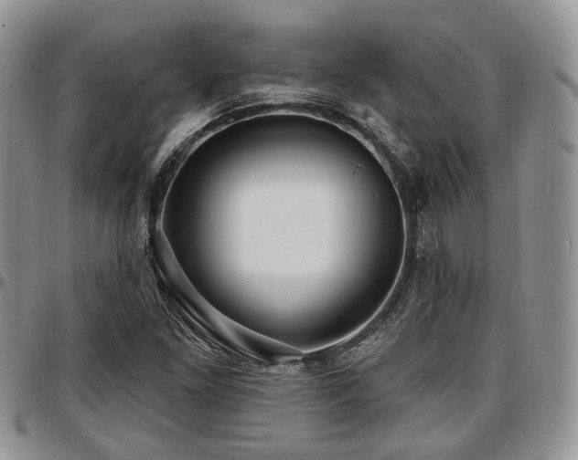 X0000097671261200802291452