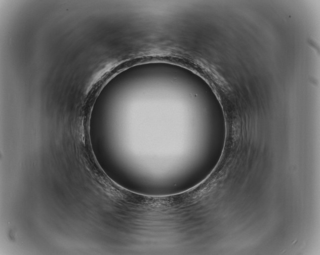 X0000097671262200802291452
