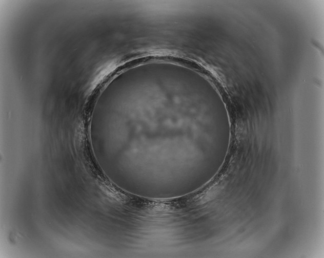 X0000097671263200802291452