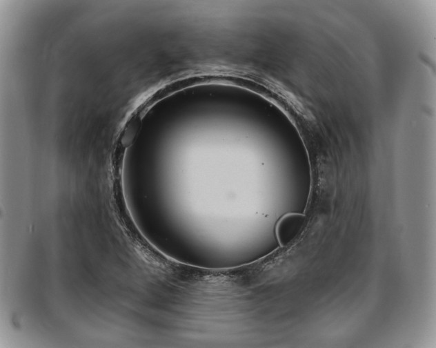 X0000097671264200802291452