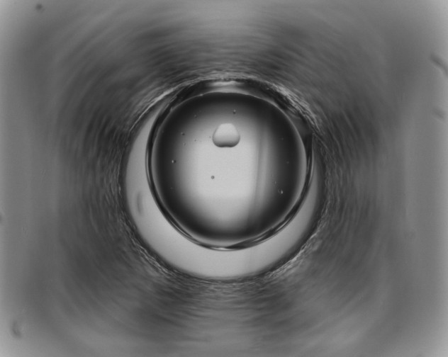 X0000097671265200802291452