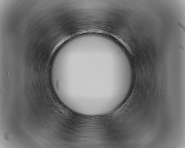 X0000097671266200802291452