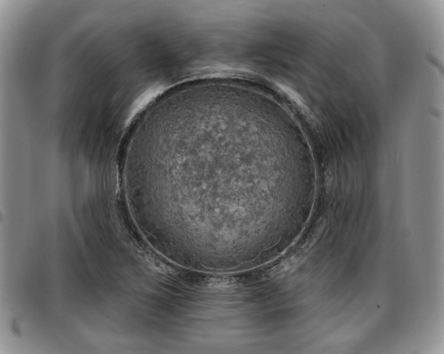X0000097671267200802291452