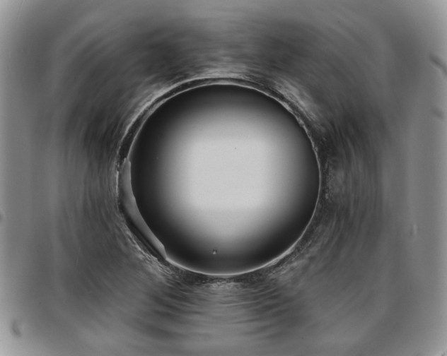 X0000097671268200802291452