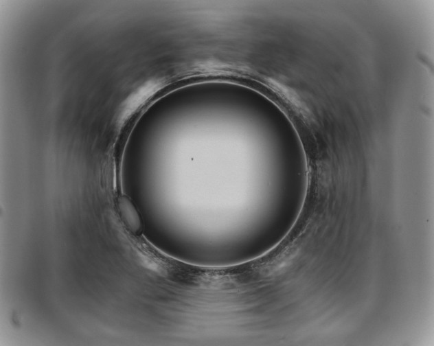 X0000097671269200802291452