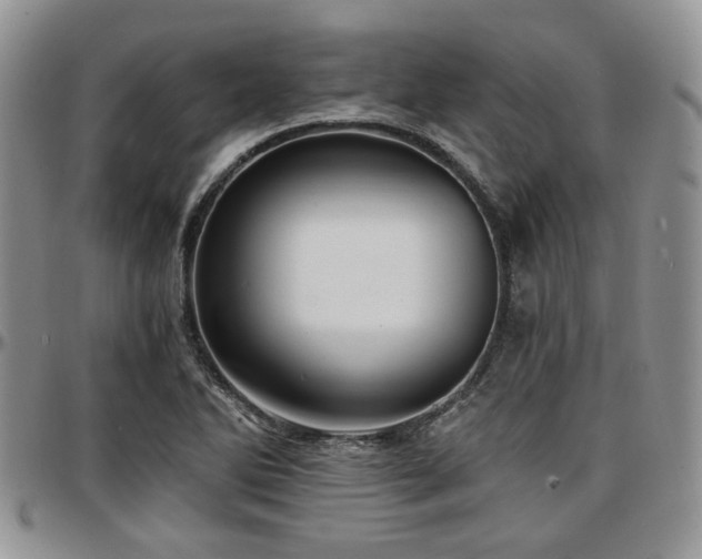 X0000097671270200802291452