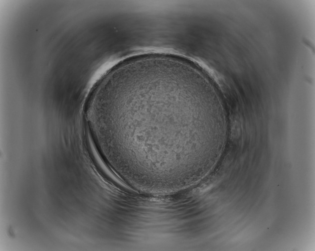 X0000097671271200802291452