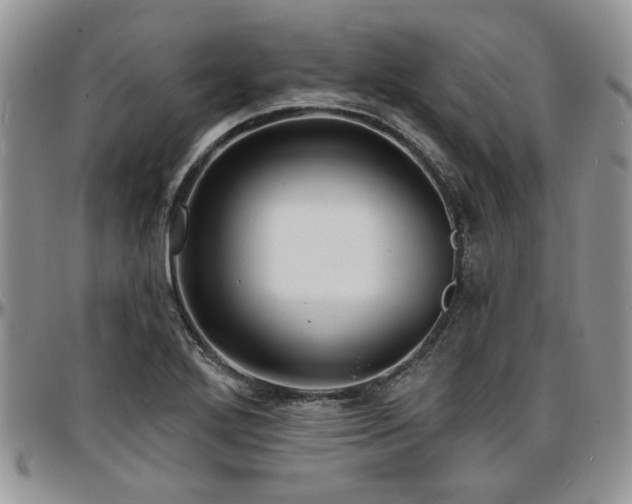 X0000097671272200802291452