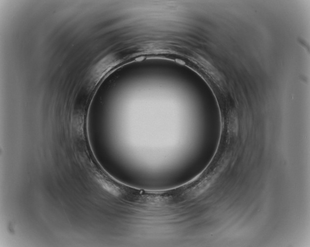 X0000097671273200802291452