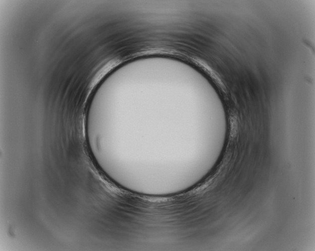 X0000097671274200802291452