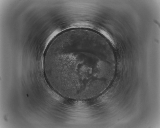 X0000097671275200802291452