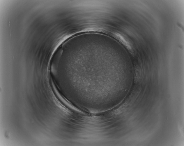 X0000097671276200802291452